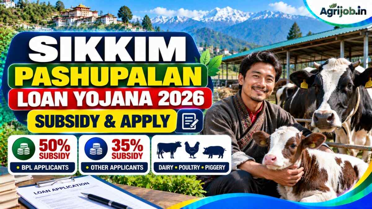 Sikkim Pashupalan Loan Yojana 2026