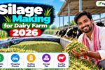 Silage Making for Dairy Farm 2026