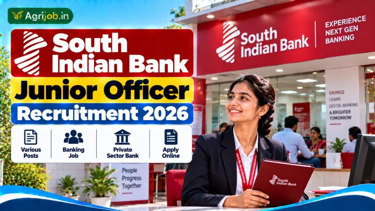 South Indian Bank Junior Officer Recruitment 2026