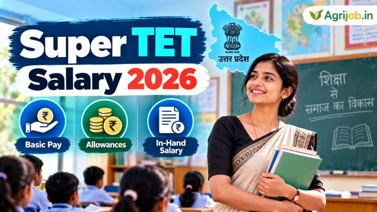 Super TET Salary 2026