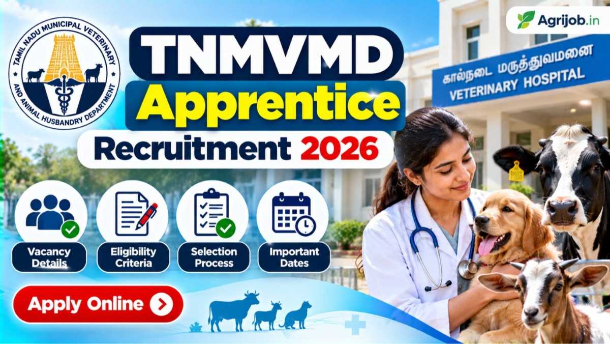 TNMVMD Apprentice Recruitment 2026