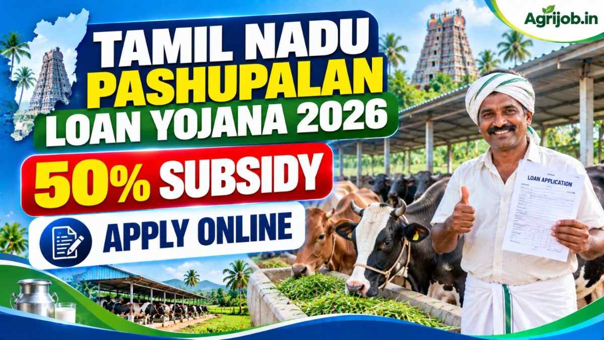 Tamil Nadu Pashupalan Loan Yojana 2026 – 50% Subsidy & Apply Online