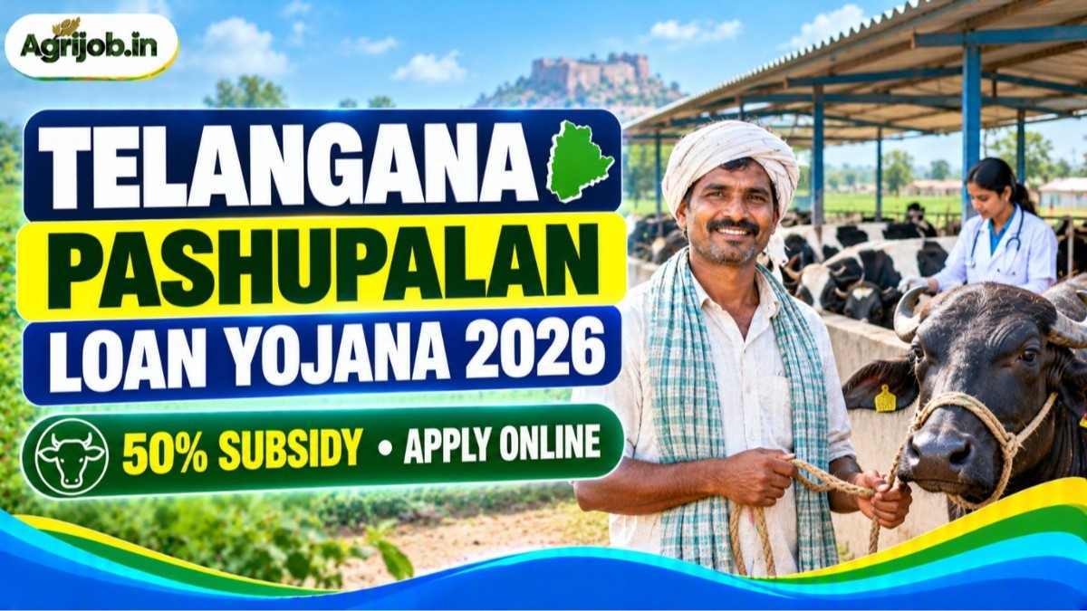 Telangana Pashupalan Loan Yojana 2026 – 50% Subsidy & Apply Online
