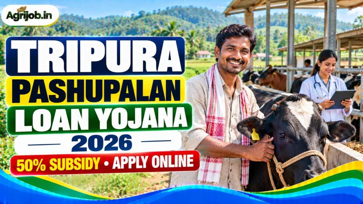 Tripura Pashupalan Loan Yojana 2026