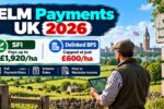 ELM Payments UK 2026