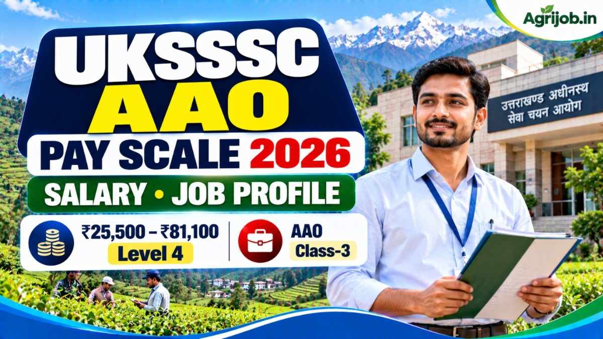 UKSSSC AAO Pay Scale 2026 – Salary, Job Profile