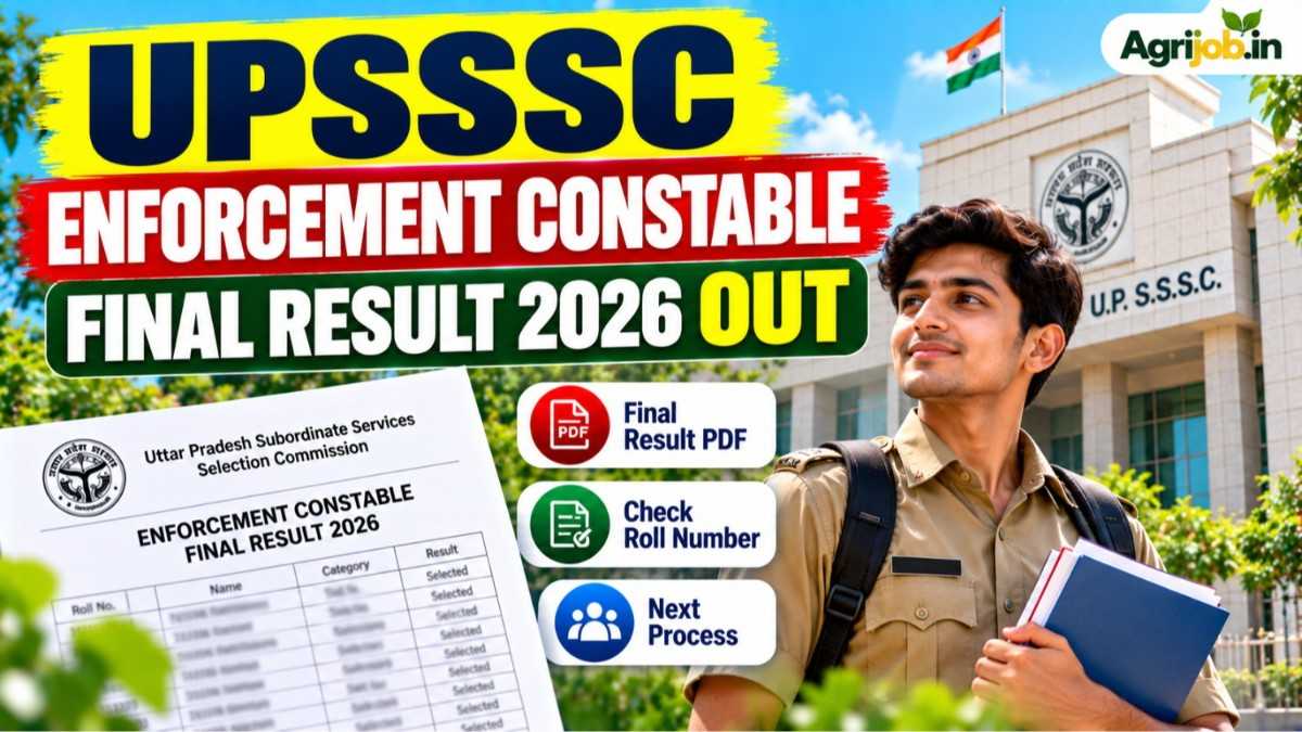 UPSSSC Enforcement Constable Final Result 2026