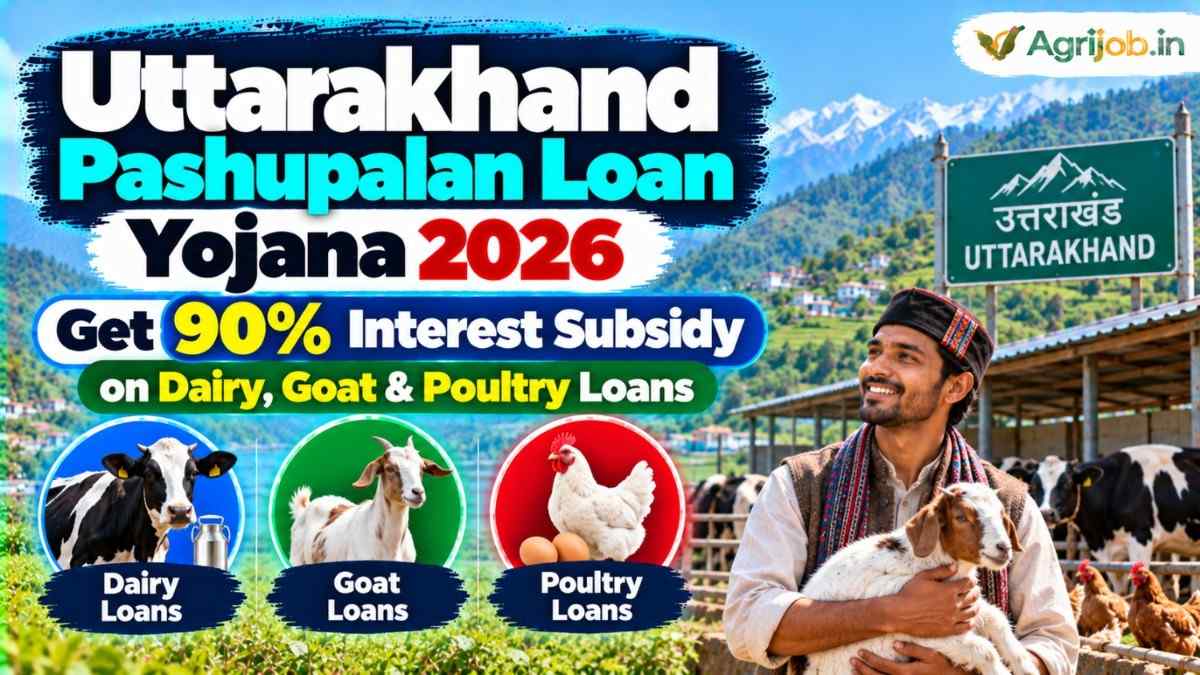 Uttarakhand Pashupalan Loan Yojana 2026