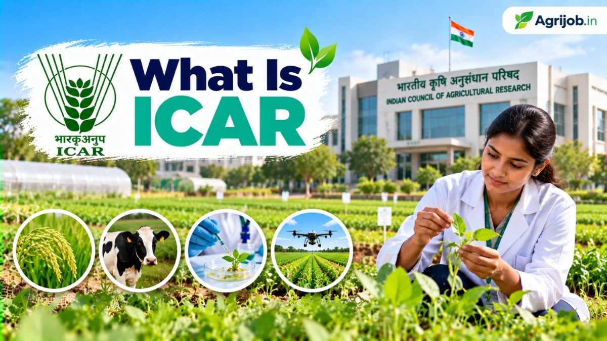 What Is ICAR